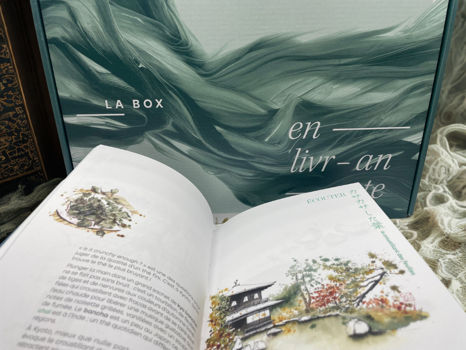 44898446 84ef 498c Bfd3 07fb0ada50f9